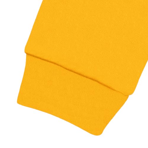 Disney Lion Guard Kion Fleece Pullover Hoodie Toddler to Little Kid 7