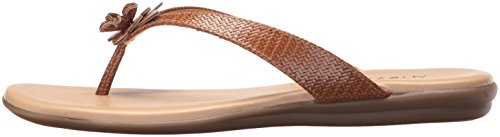 Aerosoles