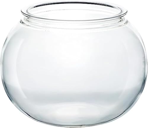 LpivX`bNEANj ی^e e[uANAE EϗtA|p CeAe (L:21×18cm,)