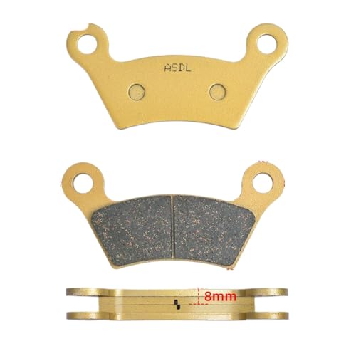 Plaquettes de frein arrière haute endurance pour disques RT-S et RS 09-12
