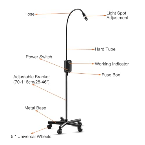 Lampe d'examen médical à LED 5W rotative à 360° et mobile