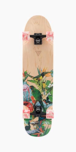 Landyachtz 34" Rally Cat Paradise Complete Longboard