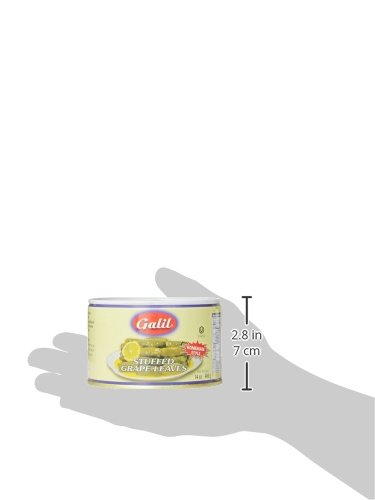 Galil Stuffed Grape Leaves Non-GMO, 14-Ounce Cans (Pack of 12)
