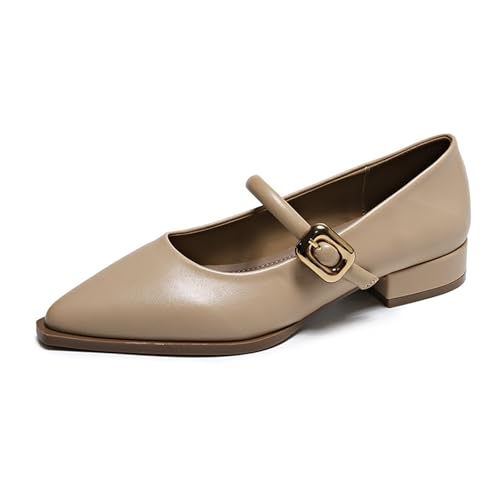ZQW Women's Pointed Toe Ballet Flats Mary Jane Low Block Heel Buckle Design Elegant Comfort Shoes Daily Office Evening