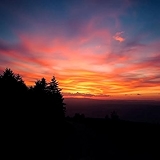 1. Heavy Belly Light Stride