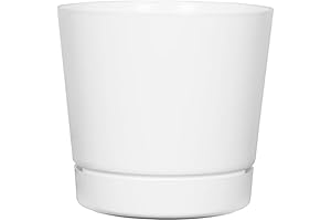 Novelty Majestic 12" Planter: The White Knight in Your Garden's Realm