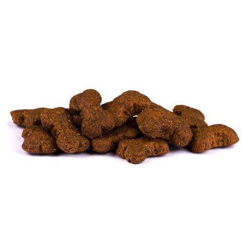 Carnilove Crunchy Snack Wild Boar with Rosehips | 3er Pack | 3 x 200 g | Snack mit Wildschwein und Hagebutte für Hunde | Insbesondere für aktive Hunde | Ohne Zuckerzusatz
