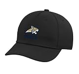Apalachee High School Wildcats Cheer Adjustable Printed Baseball Hat, Black