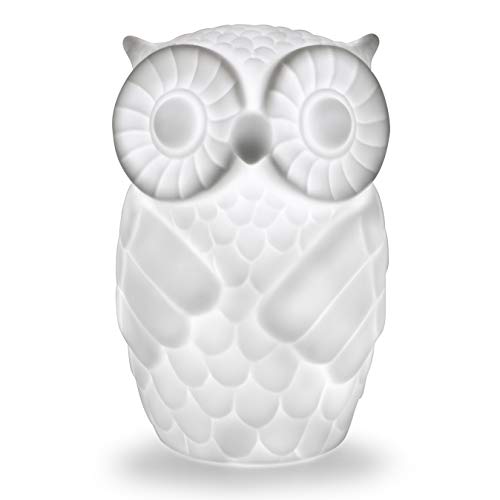 Aappy búho Lámpara con temporizador, Serenity Battery Powered Porcelain Wise Minerva de mesa para dormitorio Decor (Cool white 1)