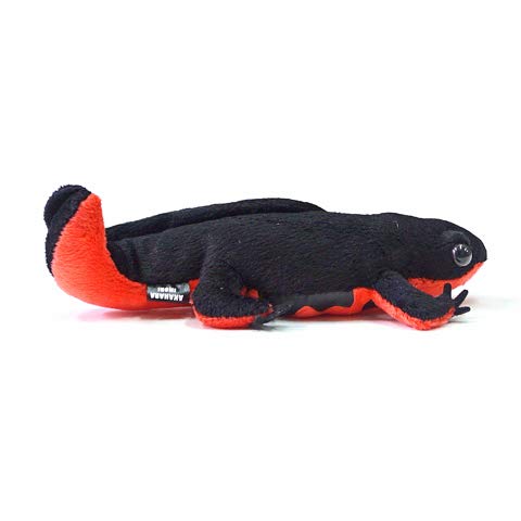 TST ADVANCE アカハライモリ ぬいぐるみ BLACK サイズ:18cm