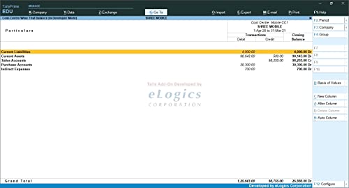 Cost Centre Wise Trial Balance - Tally Add-On (E-mail Delivery - No CD) - Single User - Image 3