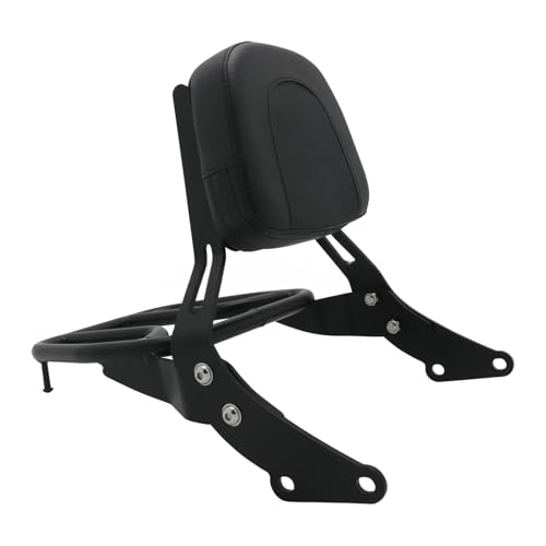 Coussin Arrière de Moto Dossier Passager et Support Bagages Street Twin 2017-2022