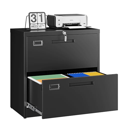Letaya 2-Drawer Lateral File Cabinet