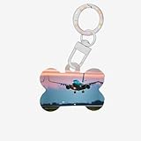 Cadeau idéal : ces étiquettes pour chien en forme d'os en forme d'avion sont mignonnes et parfaites pour personnaliser votre animal de compagnie pour faire un cadeau unique pour un être cher, un membre de la famille ou un animal de compagnie d'ami. Instructions de lavage : vous pouvez le laver avec de l'eau, veuillez ne pas le blanchir, et le sécher naturellement.