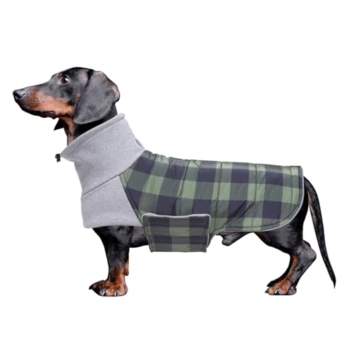 Geyecete Dackel Mantel Winter, Warmer Hunde wintermantel,wasserdichter Hundemantel mit Leinenloch,Hundepullover Hundemantel für kleine Hunde Dackel-Grün-M