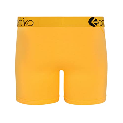 Image of Ethika Anti Bacterial Micromodal Solid Underwear for Men Combo Airsoft Trunk Breathable Inner for Men Sweatproof Underwear Pack of 3 Multicolour
