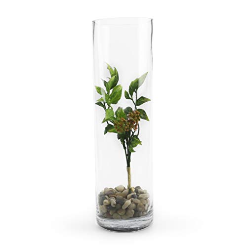 WGVI WGV Clear Cylinder Glass Vase, 14-Inch, 4"x14"H - Image 4
