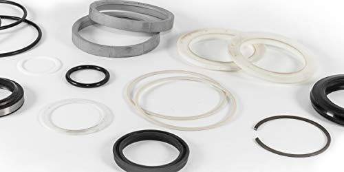 161913A1 Dipper Stick Arm Cylinder Seal Kit Fits Case 9020B
