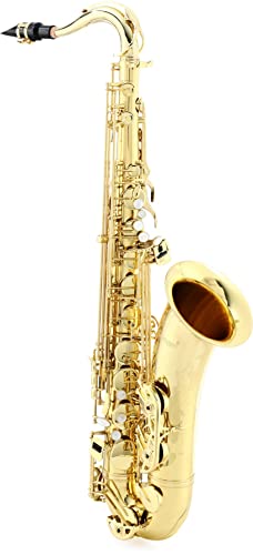 SELMER STS711 ei[TbNX