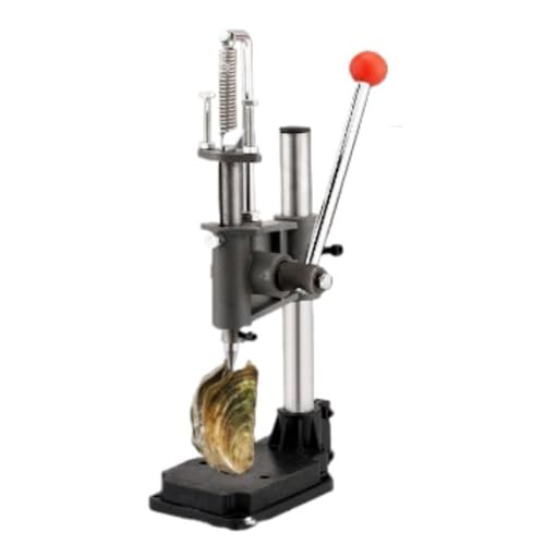 Angoda 蓮vX@ @\Jkc[ 蓮ȗ yJRRibc 葽pr ƒpLb`c[ މʕ Tv Dƃo[ (^vX@yẙkz)