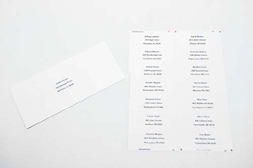 Compulabel Mailing Labels For Laser And Inkjet Printers, 4 X 1 1/2 Inches, Permanent Adhesive, 14 Per Sheet, 250 Sheets Per Carton (331604), White #TOP4