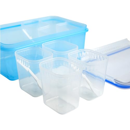 Image of UNICA Spice Box with 8 Pots & 4 Tea Spoons, BPA-free Plastic Spice Organizer with Air Resistant Lid & Non-slip Base, Condiment Tray for Dry Fruits, Mukhwas, Spices, Dishwasher-safe BLUE