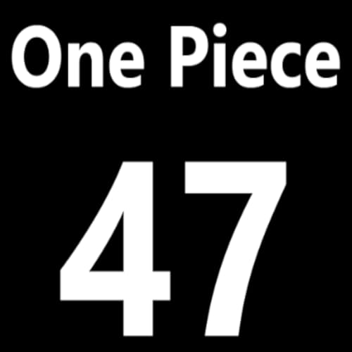 Beginner`s Guide to One Piece Episode 55