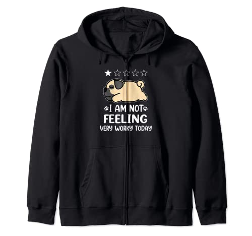 Pug Dog Sleep I Am Not Feeling Funny Puppy Dogs Lovers Sudadera con Capucha