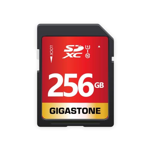 Gigastone 256GB SD Card UHS-I U1 Class 10 SDXC Memory Card High Speed Full HD Video Canon Kodak Olympus Digital Camera, with 1 mini case