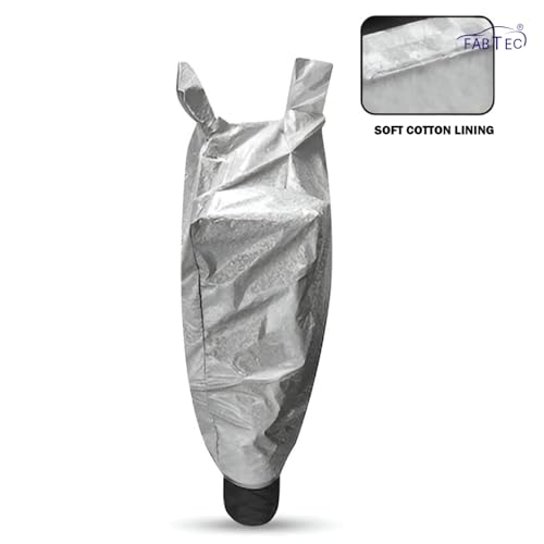 Image of FABTEC Waterproof Scooty Body CoverCompatible with Aeroride Aero, A1 (Silver)