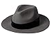 Badgley Mischka Wool Fedora with Velvet Band