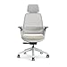 Steelcase Series 1 Ergonomischer Bürostuhl mit LiveBack Lumbalstütze, 4D-Armlehnen, anpassbarer Kopfstütze Beige,...