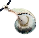 Rare Natural Pearly Open Nautilus Shell Pendant Beads Adjustable Cord Necklace Handmade Women Jewelr