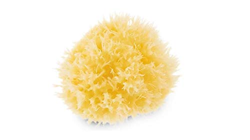 Neo Baby Sea Sponge, White - Image 2