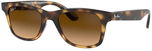 Ray-Ban RB4640 Sunglasses Bundle: RB 4640 710/M2 Light Havana and Universal Anti-slip Silicone Leash