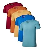 COLORFULLEAF Men's Undershirt Bamboo Rayon T-Shirts Short Sleeve V-Neck Soft Tees for Men Tag-Free Underwear 3 or 5 Pack (5F,XL)