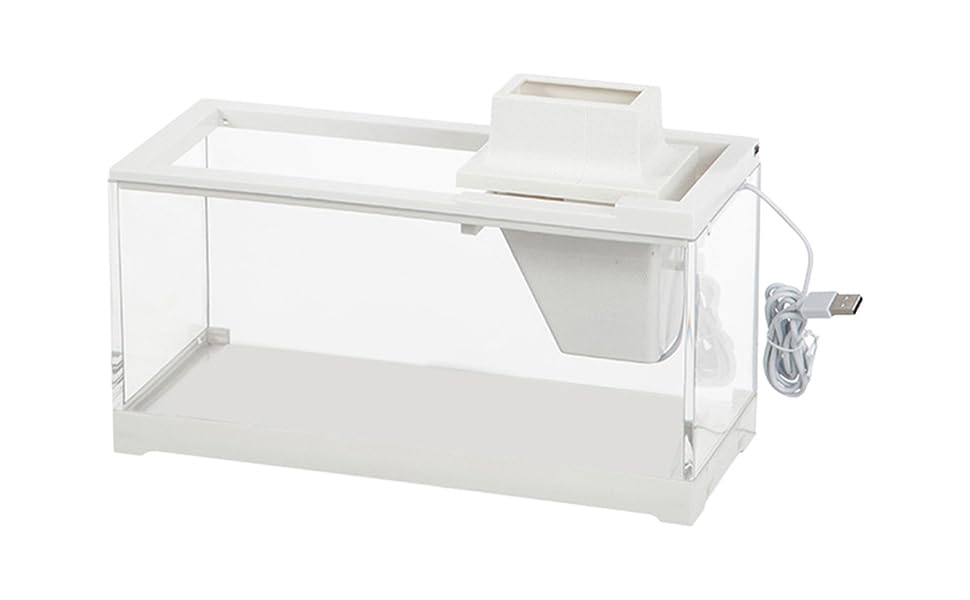 Aquarium pour poissons tropicaux et déco zen pour table basse et bureau
