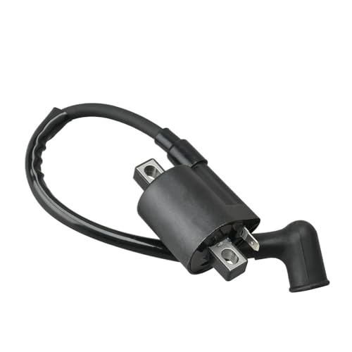 Bobina de encendido para motores marinos 2T 5HP con referencia 369-06050