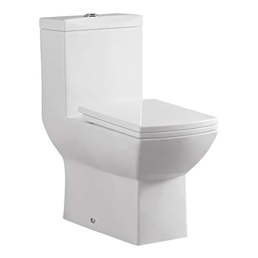 Vaso Sanitário Caixa Acoplada Reno R 400