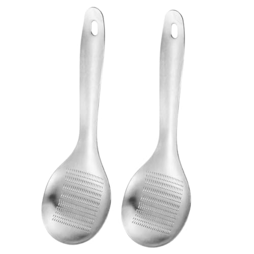 GLEAVI 2個 家用ジンジャー ガーリックグラインダー ステンレス製丈夫な食品すりおろし器 スプーン型 軽量コンパクト 簡単操作 野菜や果物