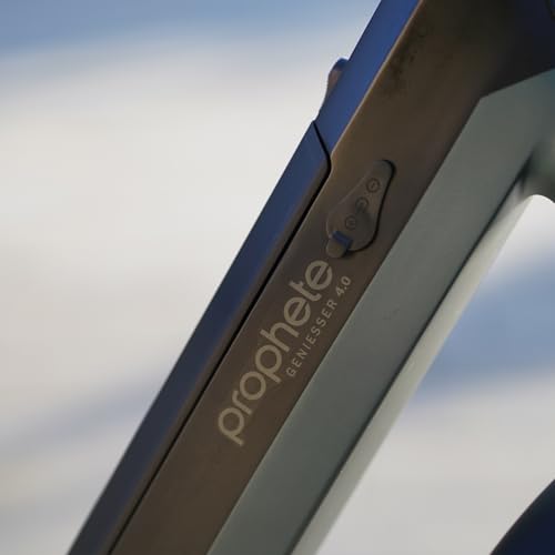 Prophete Geniesser 4.0 City E-Bike 28 Zoll - 540Wh - Integrierter Akku - Mittelmotor AEG - 7-Gang Nabenschaltung - HDY. Scheibenbremse - Rahmenhöhe 48 cm