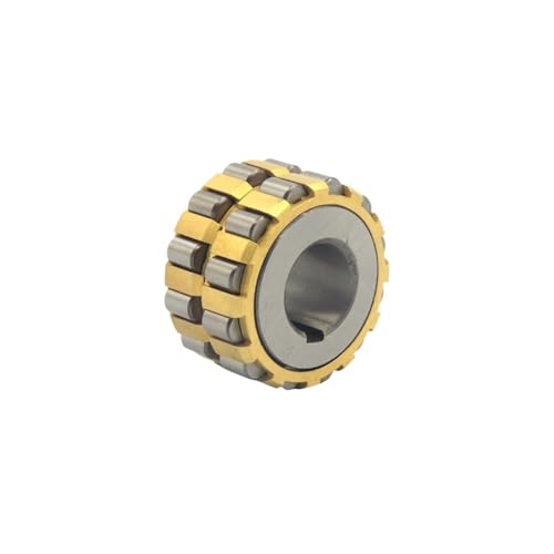 Roulement excentrique RN2205 résistant aux vibrations pour pompe - 3