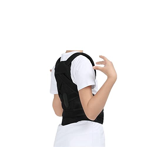 w ߉\ȔwRZbg pxg T|[g EGXgT|[g wp lƎq ̎q j̎q NƃN[[V (F : FATCY : S) charitable