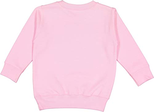 RABBIT SKINS Toddler Fleece Long Sleeve Pullover Sweatshirt, Pink, 2T2