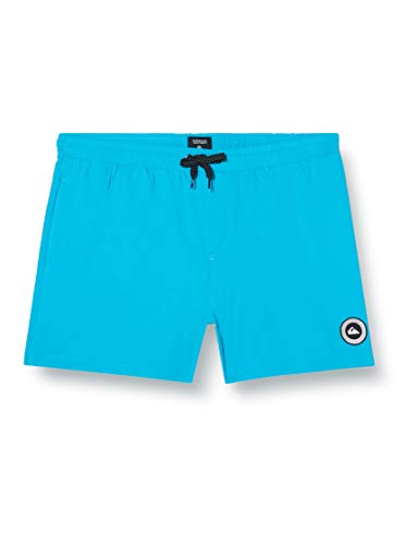 Quiksilver Herren Everyday 15 Zoll Jam/Volley, Atomic Blue, L