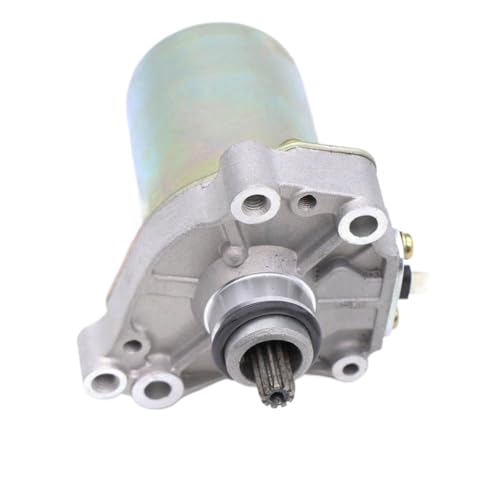 �X�^�[�^�[���[�^�[�� ZIP 50 (1995-1996)�AZIP 100 (2006-2010)�AFly 4T 100 (2007-2014)�A����� Liberty 4T 100 (2011-2014) �ƌ݊���������܂��B