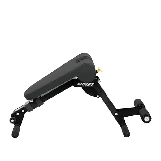 HOIST Fitness HF-4263 Dual Adjustable Ab / Back Hyper Roman Chair Exercise Bench - Platinum