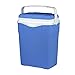 TIENDA EURASIA® Nevera Portátil Rigida con Asa, Color Azul, Mantiene Frio 6 Horas sin Hielo, Nevera para Camping, Viaje, Playa (12L)