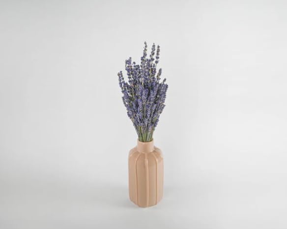 Super Blue Royal Velvet Lavender Bunch, Dried English Lavender, Deep Lavender Blooms, Wedding Flowers, 8-10 Inches, Case of 20 Bunches