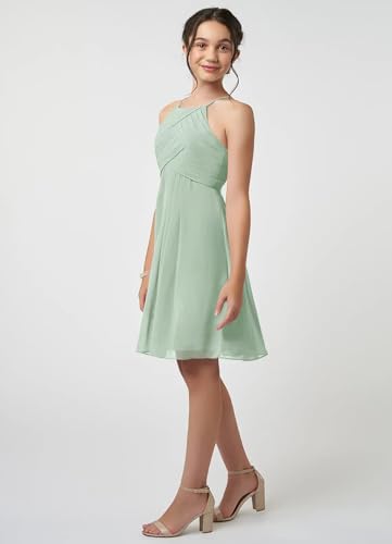 Mini Chiffon Juniors Bridesmaid Dresses for Wedding Chiffon Flower Girl Dresses Halter Pleat Party Gown3